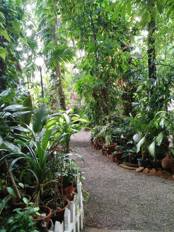Green Woods Bethlehem Kochi Bagian luar foto