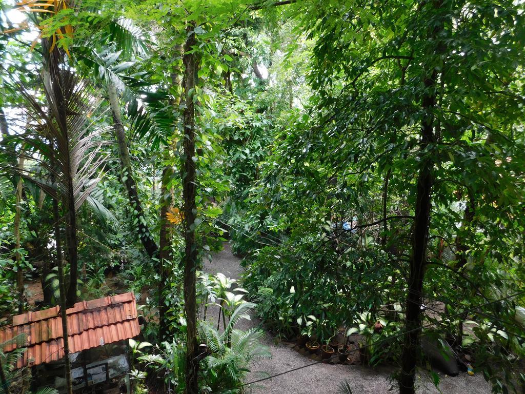 Green Woods Bethlehem Kochi Bagian luar foto