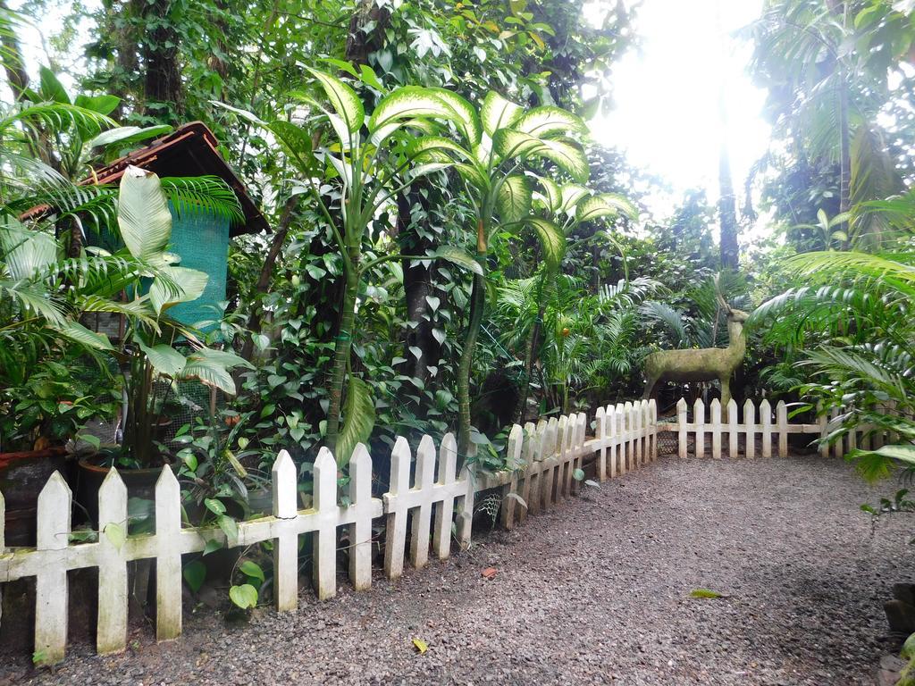Green Woods Bethlehem Kochi Bagian luar foto