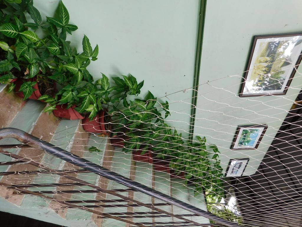 Green Woods Bethlehem Kochi Bagian luar foto